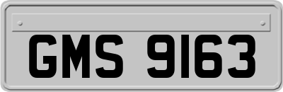 GMS9163