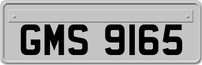 GMS9165