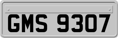 GMS9307