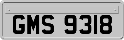 GMS9318