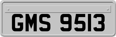 GMS9513