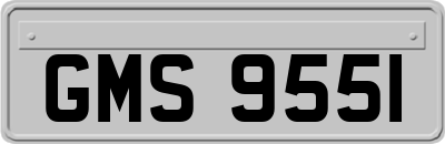 GMS9551