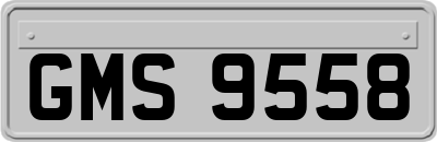 GMS9558