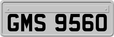 GMS9560