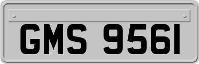 GMS9561