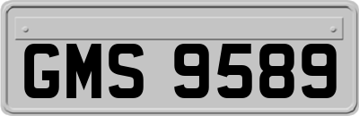 GMS9589
