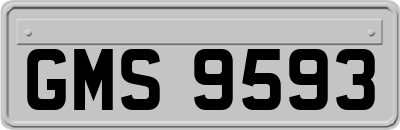 GMS9593