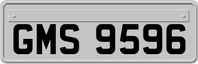 GMS9596