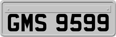 GMS9599