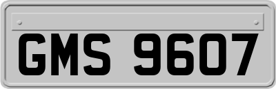 GMS9607