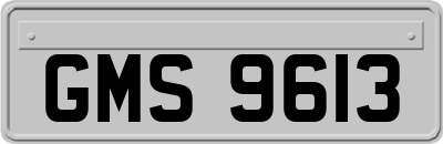 GMS9613