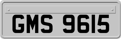 GMS9615