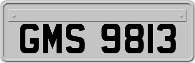 GMS9813