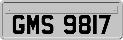 GMS9817