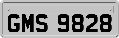 GMS9828