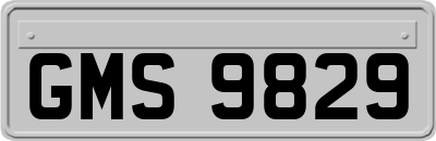GMS9829