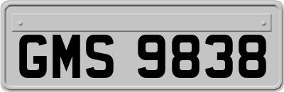 GMS9838