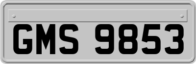 GMS9853