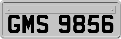GMS9856