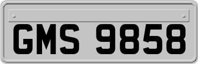 GMS9858