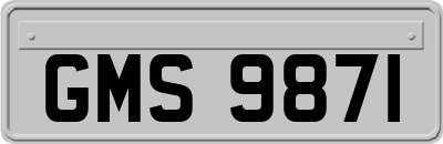 GMS9871