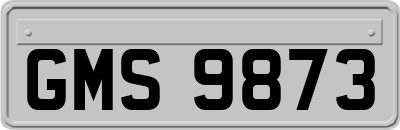 GMS9873