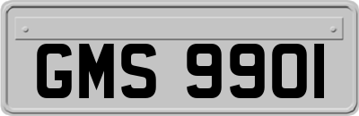 GMS9901
