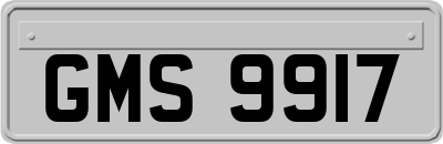 GMS9917