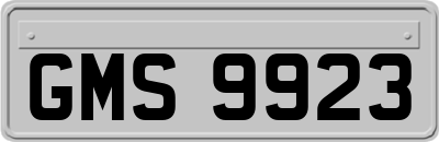 GMS9923