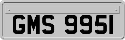 GMS9951