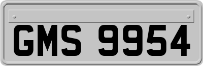 GMS9954
