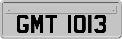 GMT1013