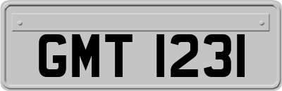GMT1231