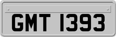 GMT1393
