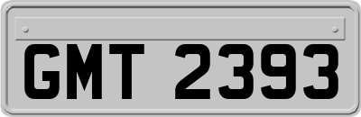 GMT2393