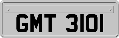 GMT3101