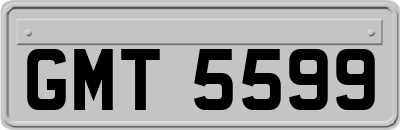 GMT5599