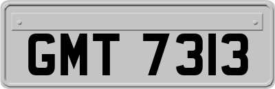 GMT7313