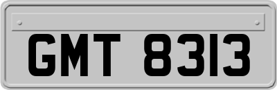 GMT8313