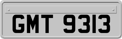 GMT9313