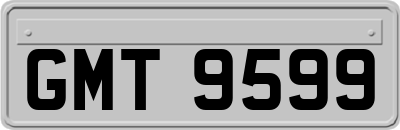 GMT9599