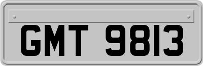 GMT9813