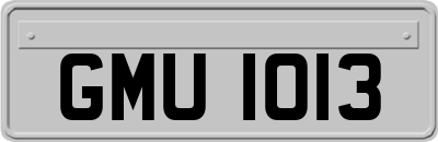 GMU1013