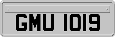 GMU1019