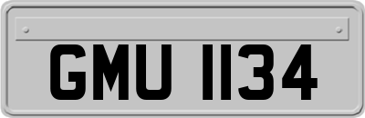 GMU1134