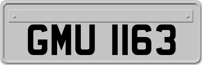 GMU1163