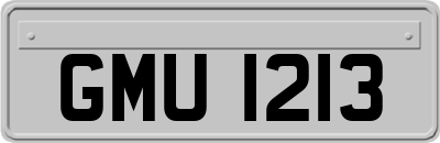 GMU1213