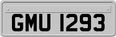 GMU1293