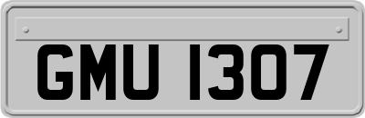 GMU1307