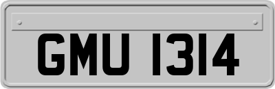 GMU1314